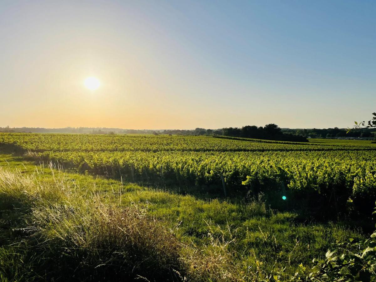 TeuillacLa Vigne D'Or住宿加早餐旅馆 外观 照片